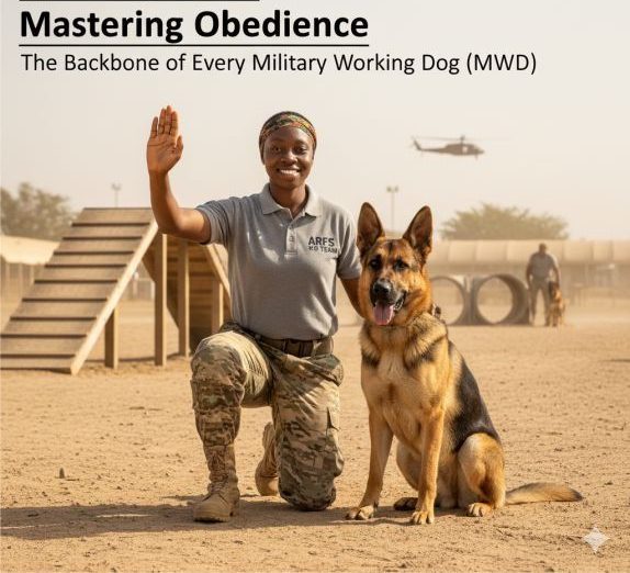 Mastering obedience