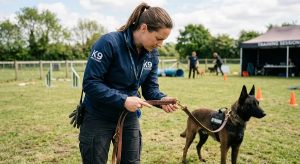 Handler inspecting K9 lead stitching and clips before training