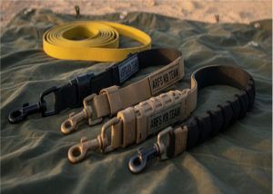 Leash