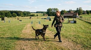 Military working dog and handler during obedience training