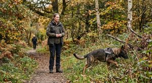 K9 handler reading dog body language during training