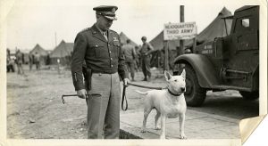 General Patton with Bull Terrier Willie
