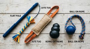 Working dog toy kit for focus and drive training