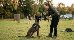 police K9 and handler training session