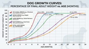 How to Determine Puppy Weight: 3 Easy Ways to Predict Size 2 5 dog growth curves, with age on the bottom and percent of adult weight on the side