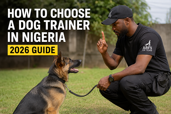 Choosing a Dog Trainer in Nigeria