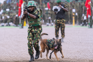 military working dog handler demonstrating obedience