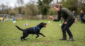 police dog selection drive test