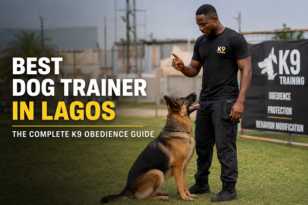 Best Dog Trainer in Lagos