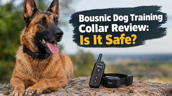 Bousnic Dog Collar Review