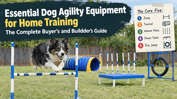 Essential Dog Agility Equipment for Home Training