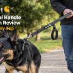 Large Dual-Handle Dog Leash Review