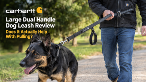 Large Dual-Handle Dog Leash Review