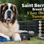 Saint Bernard Obedience Training Tips