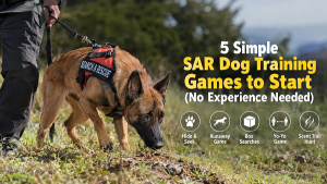 Search and Rescue Dog Training Guide