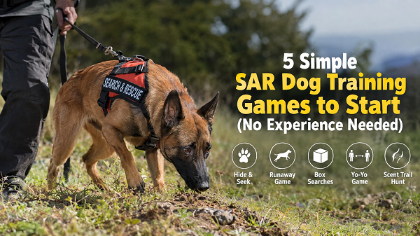 Search and Rescue Dog Training Guide