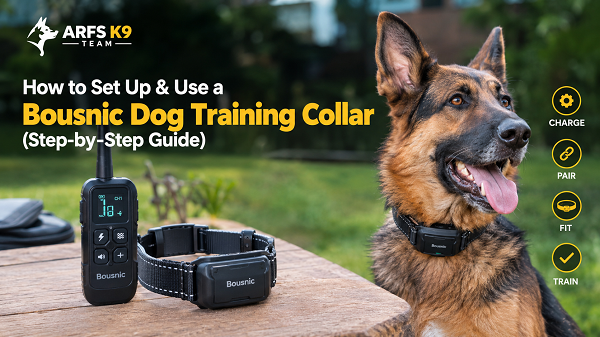 Bousnic Dog Collar Setup Guide