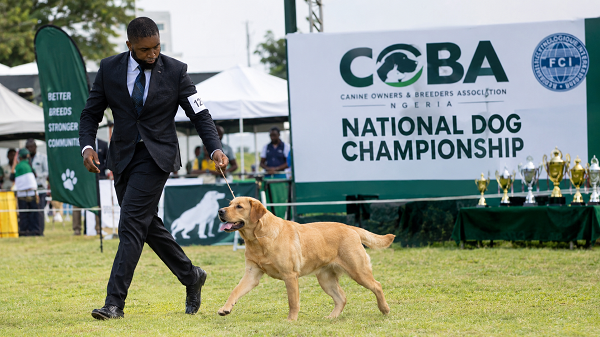 COBA National Dog Championship