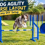 DIY Dog Agility Course Layout