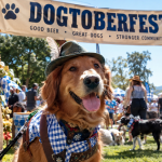 Dogtoberfest