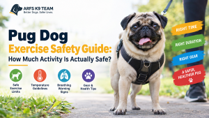 Pug Exercise Safety Guide
