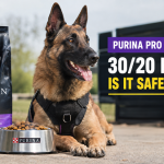 Purina Pro Plan Sport K9 Review